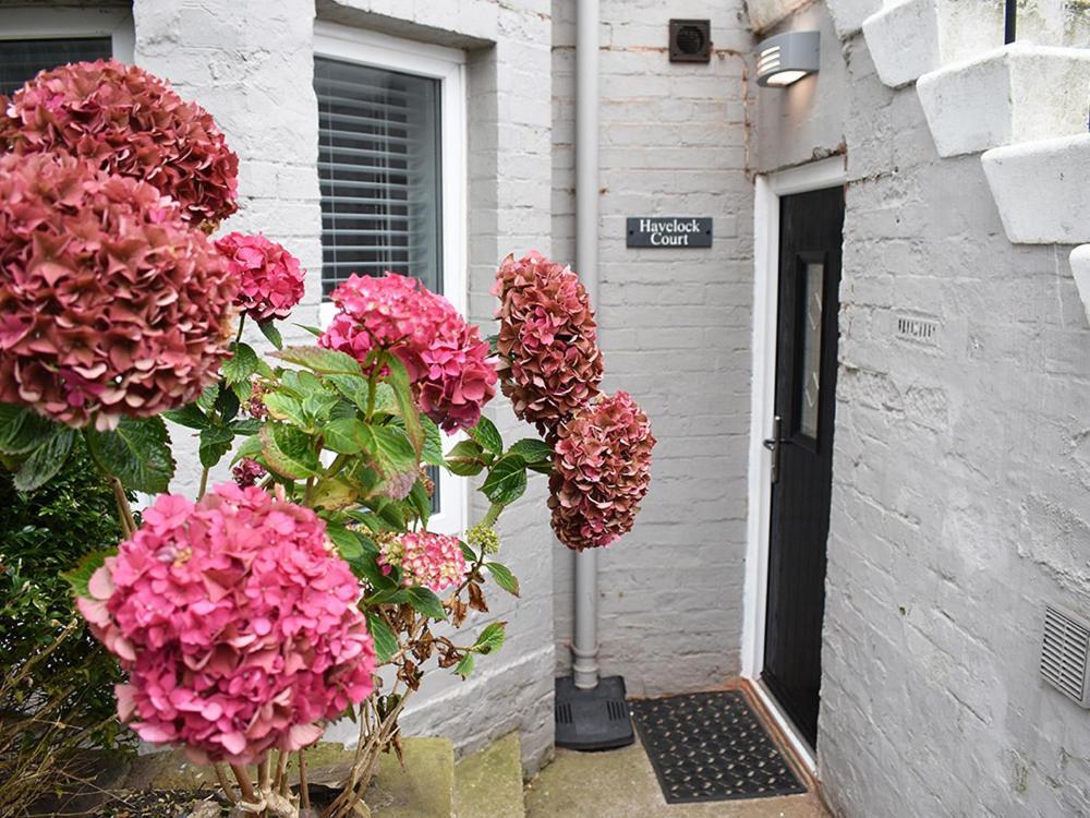 Havelock Court Apartment Whitby Zewnętrze zdjęcie